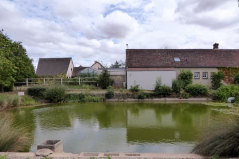 Ramoneur Briconville