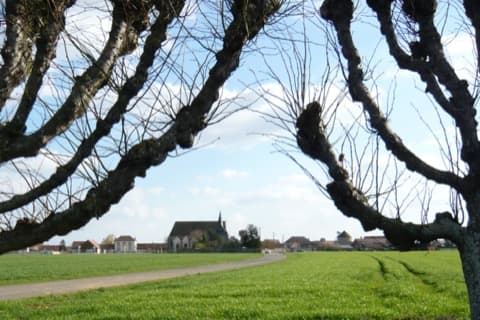Ramoneur Marville-Moutiers-Brûlé