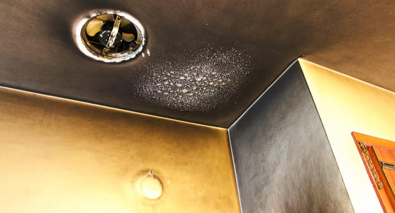 Débistrage 28 Eure-et-Loir